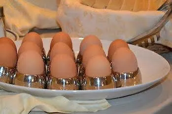 Mary Rose فندق 2*